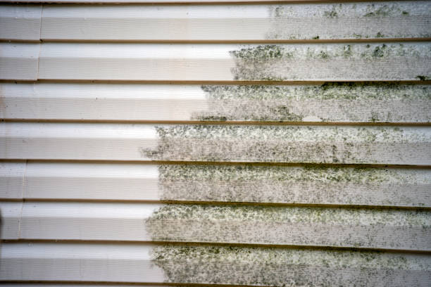Best Hoarding Cleanup  in Port Gibson, MS