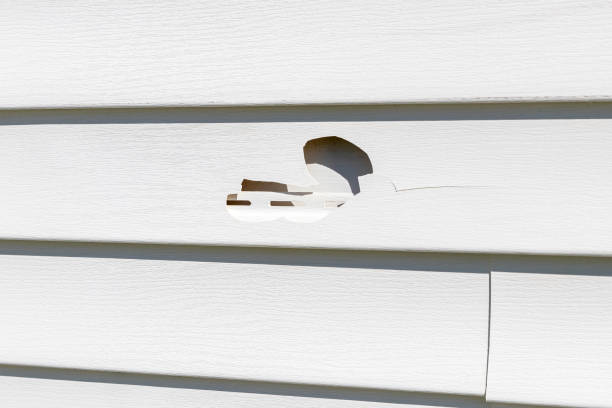 Best Shed Removal  in Port Gibson, MS
